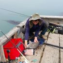 노력항민박 이미지