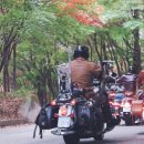 시즌투어