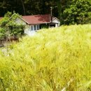 꿈이있는숲속유치원 이미지