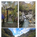 제914차 지리산(뱀사골-반야봉-피아골) 단풍 산행(2026.10.31) 이미지