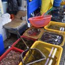 경포회센타 이미지