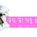 부평농협로터리 이미지