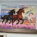 말고기전문흑마 이미지