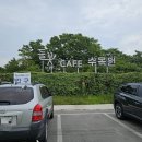 들꽃카페 이미지