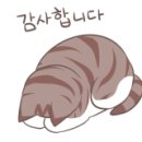 드림이즈 이미지