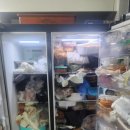 분당-120 | 성남시 분당 판교 양문형 냉장고, 120kg 음식물 폐기와 고난도 청소 후기