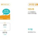 용호제 Daum카페