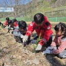 작은나무숲 이미지