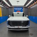 (야간)캘리그래피 | 팰리세이드 하이브리드 캘리그래피 화이트 신차패키지