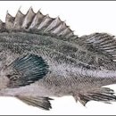 (주)수협사료 이미지