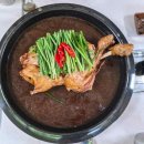 바위집염소 이미지