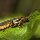 소설로 배우는 영어 이미지