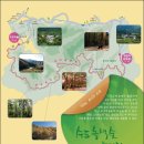 수도녹색숲모티길 이미지