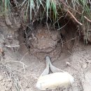 장수약품 이미지