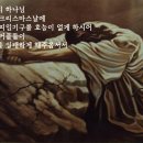 어느 상업지 역식자의 후기 이미지