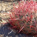 트리밸리 이미지