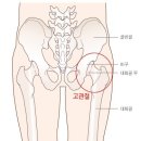 집에서 손쉽게 할수 있는 고관절 스트레칭/고관절스트레칭/고관절통증/클래식필라테스/고관절운동법/미아사거리필라테스/요가 이미지