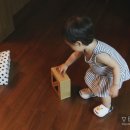 엘모아