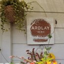 아드레이 이미지