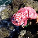 생일민박 이미지