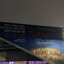 올림픽체조경기장 KSPO DOME 투란도트 내한공연/ 아레나 디 베로나 오페라