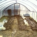 영창농장 이미지