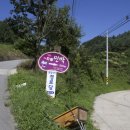 매네미 민박 이미지