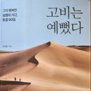 고비는 예뻤다 - 안정훈 지음 이미지