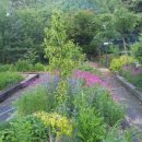 동창농장 이미지