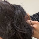 예스헤어(YES HAIR) | 웨딩촬영 헤어변형 이유는 가격/ 내돈내산 추천 후기