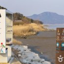 정자 반려견 이미지