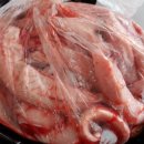 힐링곰장어 이미지