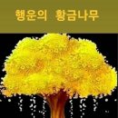 행복한가 이미지