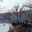 29170-5-B-01 | 【강원 걷기】 횡성호수길 5코스 가족길 걷기 완주 후기