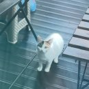 (주)겸사겸사 네이버블로그