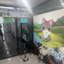 호수로 간 고양이 이미지