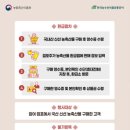 도계청과 네이버블로그