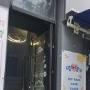 댕가댕가 이미지