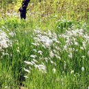 하늘빛소공원 이미지