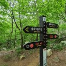 성주사 회귀형 숲길 이미지