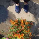 풍림농원 이미지