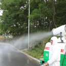 명량돼지 이미지