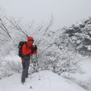 23년 1월14일(토)~1월15일(일) 한라산 눈꽃트레킹 + 상고대 & 눈 덮힌 겨울 사려니숲길트레킹 이미지
