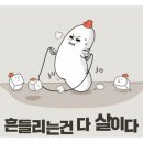 위너점핑
