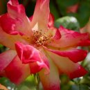 가람동물병원 이미지