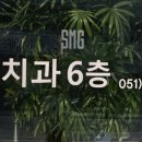 성소치과의원 네이버블로그