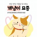 AMI PET 이미지