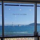 강아지를 미용하는 여자 이미지