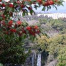 사계리-1 이미지