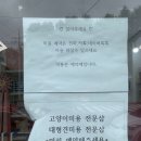 달펫샵 | 구미 [ 아지트펫샵 ] 고양이 무마취미용 후기
